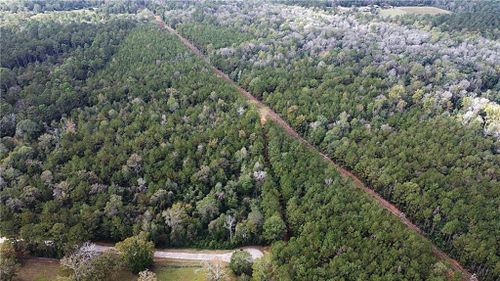 49 Acres Holliday Road, Folsom, LA, 70437 | Card Image