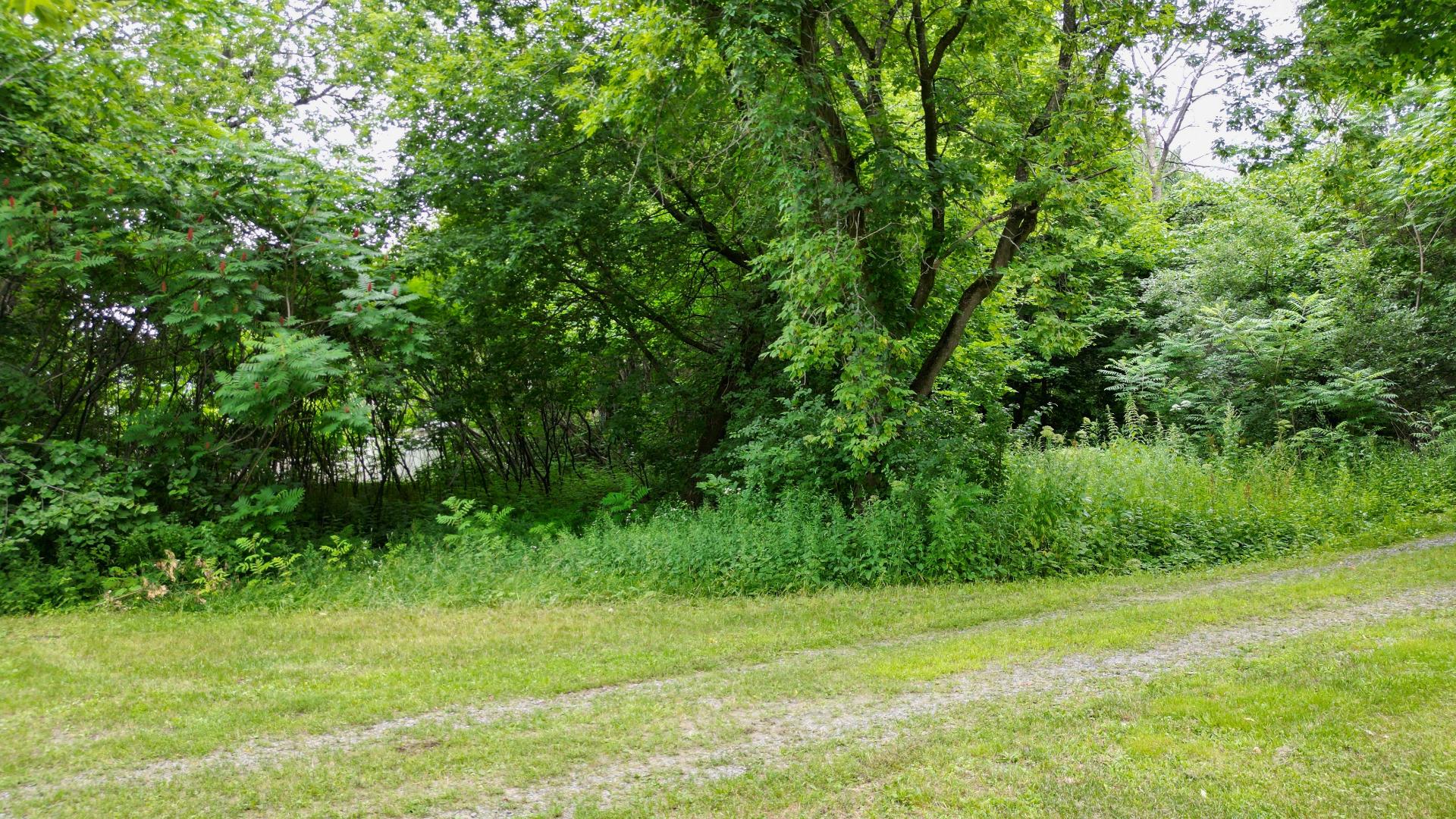 Land in Oka 3