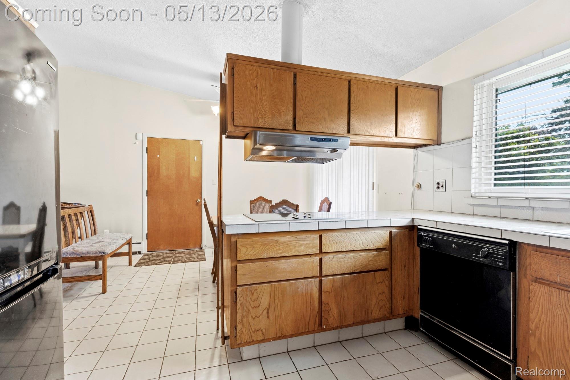 Residential in Redford Charter Township 4