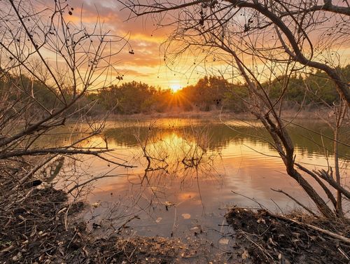 TBD Private Road 16020, Jonesboro, TX, 76538 | Card Image