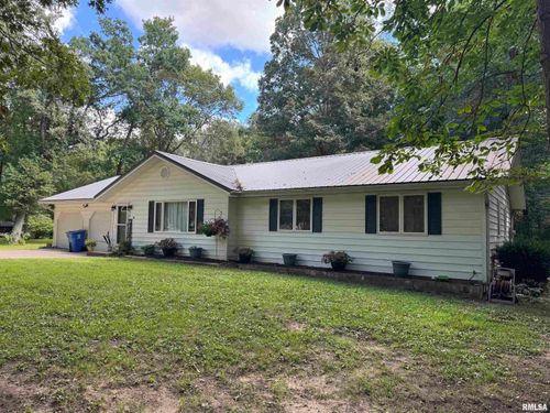 393 W Hickory Hills Dr, Havana, IL, 62644-6814 | Card Image