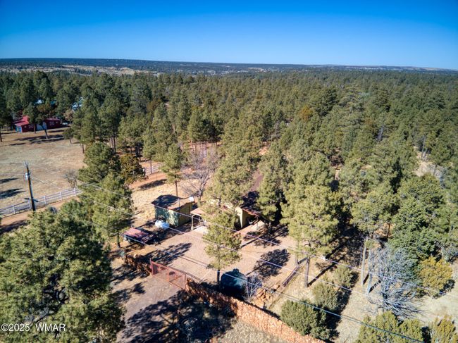 1 Full Acre in the Pines | Image 23