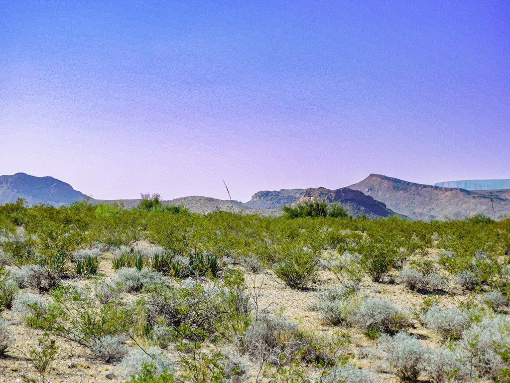 Land in Terlingua 5