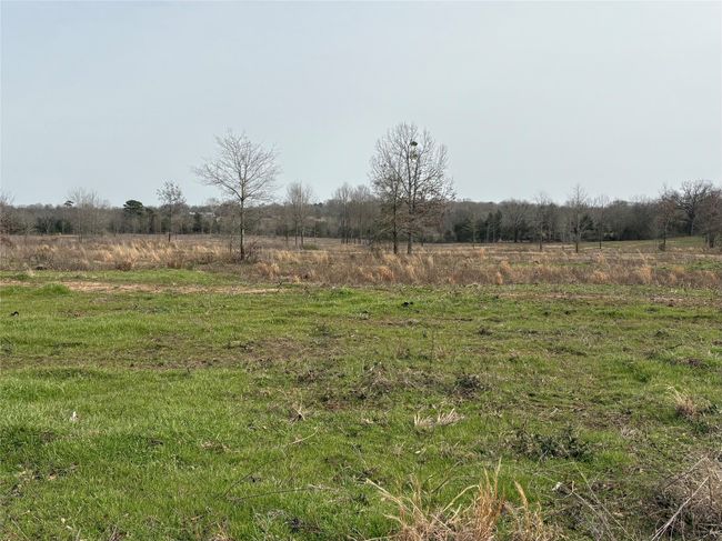 TRACT-1 - TBD County Road 2425, Home with 0 bedrooms, 0 bathrooms and null parking in Como TX | Image 8