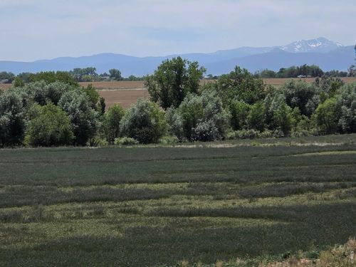 20219 County Road 3, Berthoud, CO, 80513-8006 | Card Image