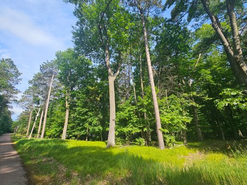 TBD Whitefish Avenue, Cross Lake, MN, 56442 | Card Image