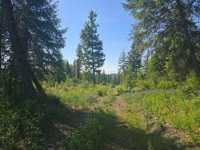 3715 Hill Loop Rd, Home with 0 bedrooms, 0 bathrooms and null parking in Kettle Falls WA | Image 13