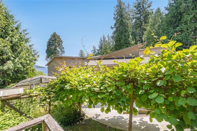 View of yard | Image 73