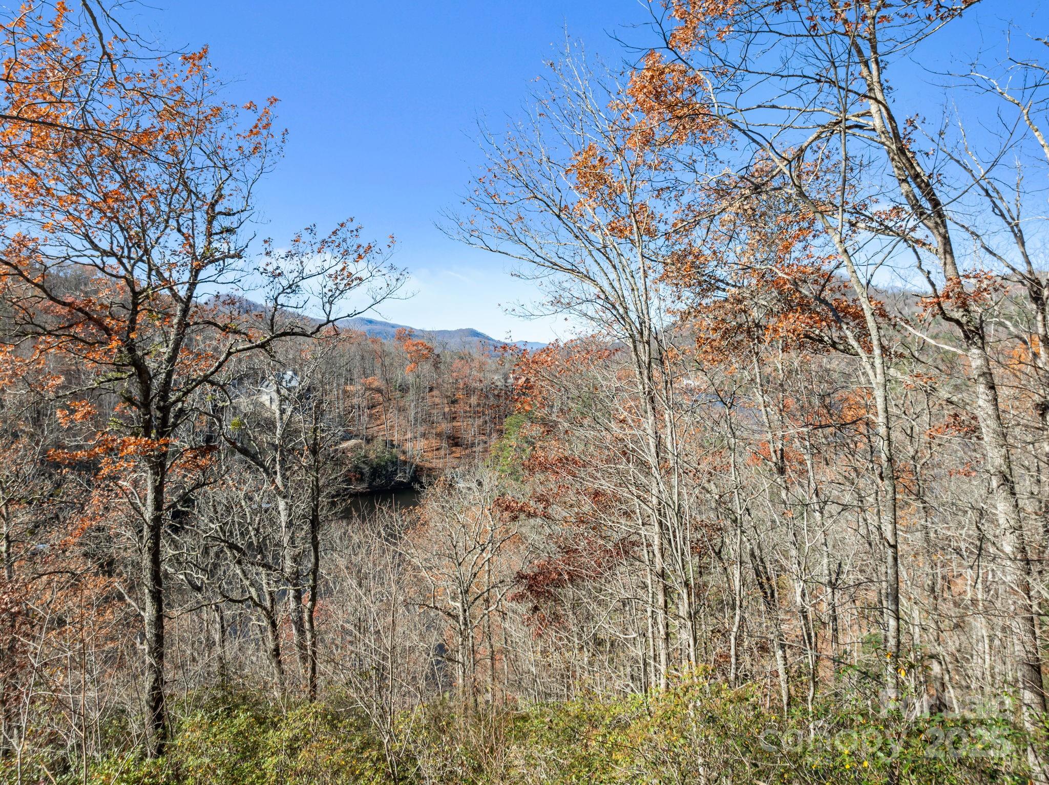 Land in Tuckasegee 5