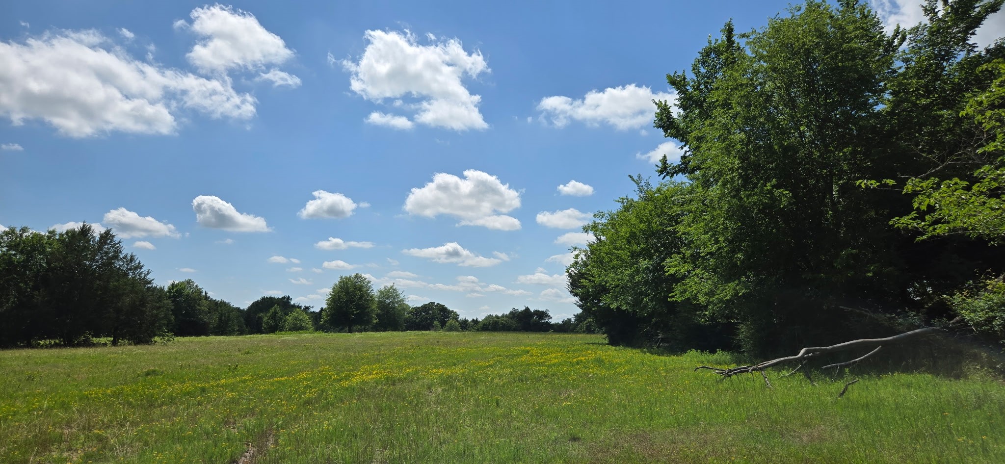 Land in Malakoff 4