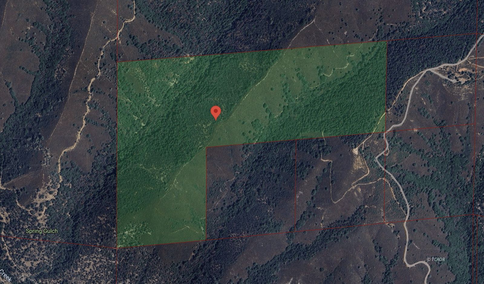 Land in Douglas City 4