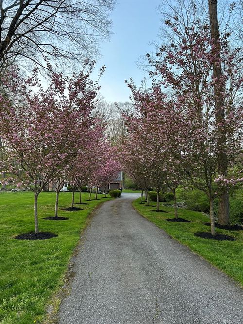 21 Franklin Dr, Somers, NY, 10589 | Card Image