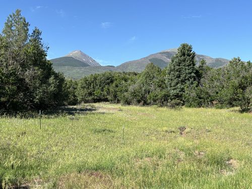 729 Cottonwood Trail, Cotopaxi, CO, 81223 | Card Image
