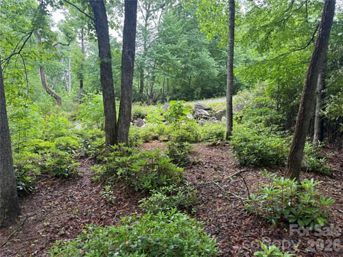 TBD Dogwood Trail, Spruce Pine, NC, 28777 | Card Image