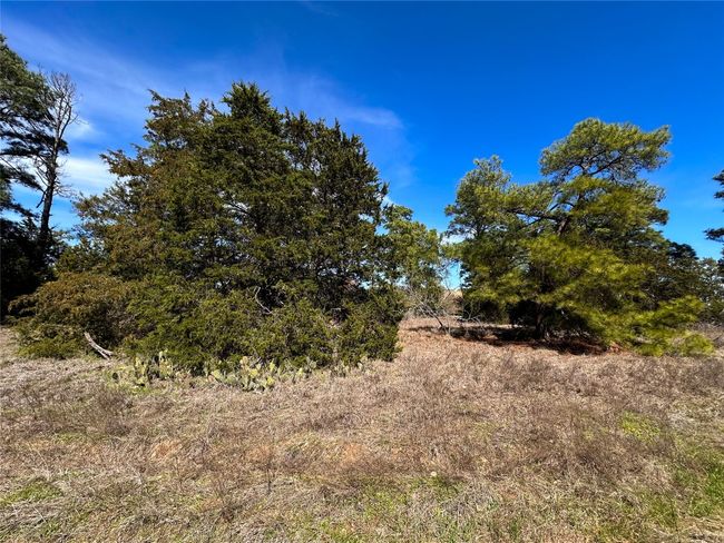 View of landscape | Image 8