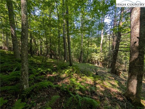 Tbd Sharon Sweeney Ln, Crumpler, NC, 28617 | Card Image