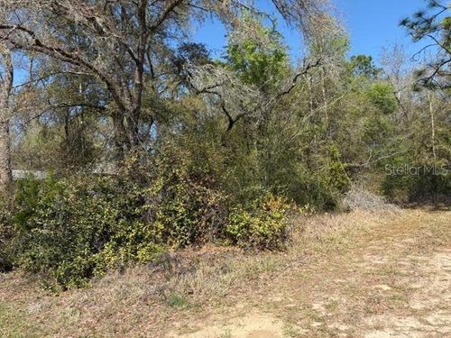 1567 W Saint Elizabeth Place, Citrus Springs, FL, 34434 | Card Image