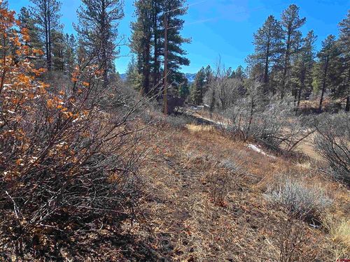 492 Circle Dr, Pagosa Springs, CO, 81147-7617 | Card Image