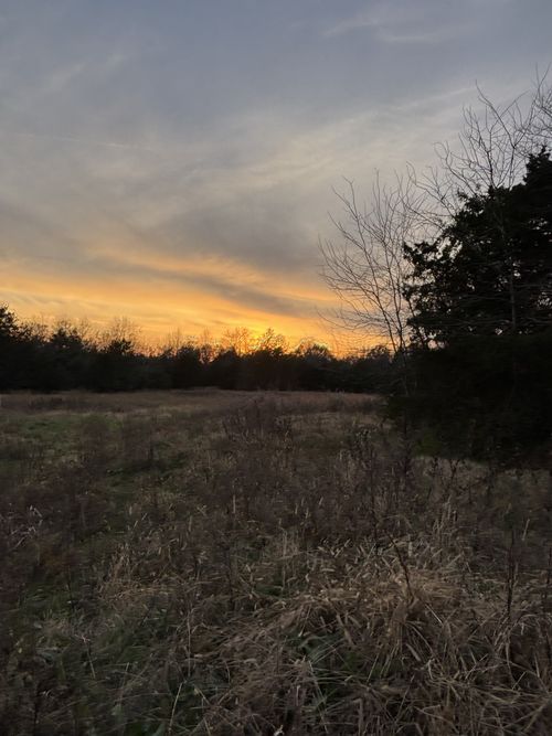 0 Laws Hill Road, Lewisburg, TN, 37091 | Card Image