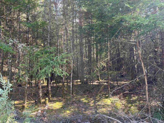 00 Sniderbrook Rd, Home with 0 bedrooms, 0 bathrooms and null parking in Westfield VT | Image 8