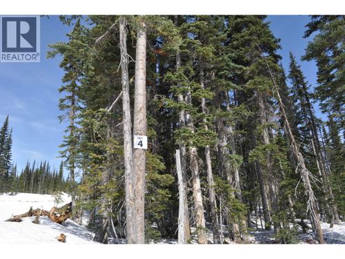 pt-ST 4 Alpine Way, Smithers, BC, V0J2N0 | Card Image