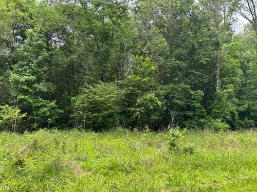 Lot 4 Branch Bridge Street, Branchville, VA, 23828 | Card Image