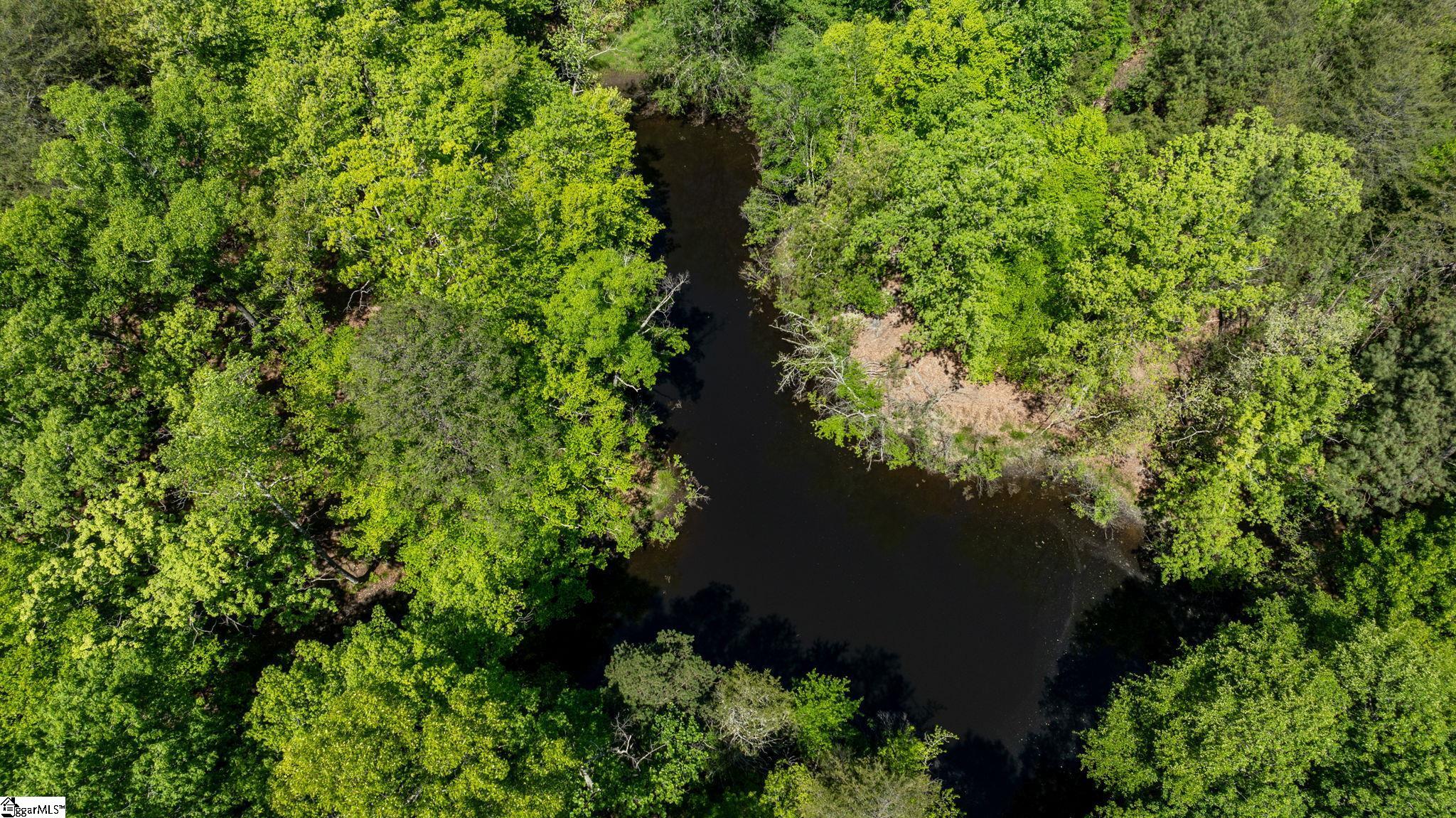 Land in Gaffney 5