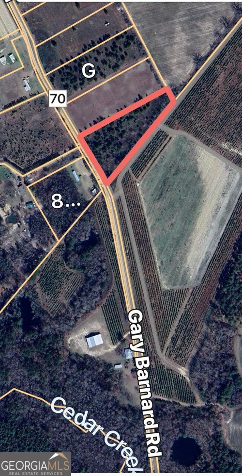 lot-8-0 Gary Barnard Rd, Cobbtown, GA, 30420 | Card Image