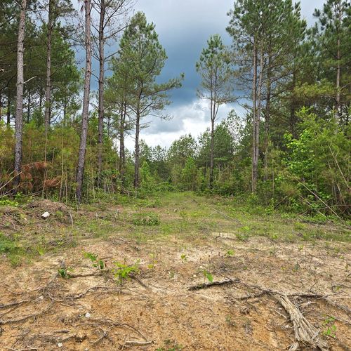 Lot 10 Holly Woods, Robbins, TN, 38562 | Card Image