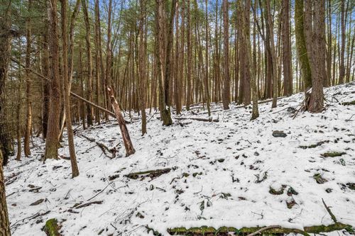 0 Frenchville Rd, Frenchville, PA, 16836 | Card Image