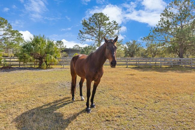 2140 W State Road 46, House other with 1 bedrooms, 2 bathrooms and null parking in GENEVA FL | Image 16