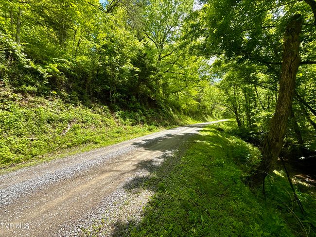 47 Tbd Enoch Rd, Home with 0 bedrooms, 0 bathrooms and null parking in Eidson TN | Image 23