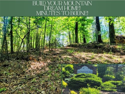 TBD Lucky Leaf Ln, Vilas, NC, 28692 | Card Image
