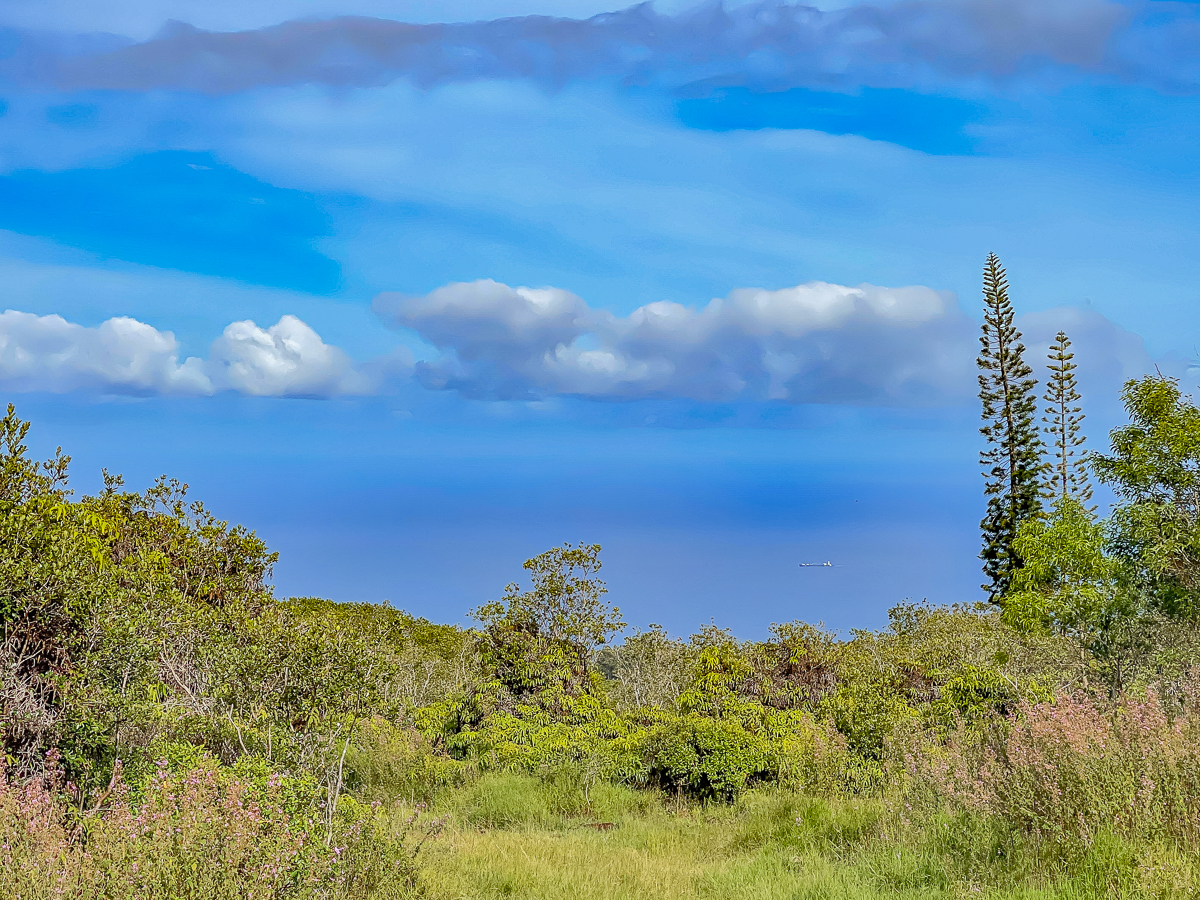 Land in Papaaloa 2