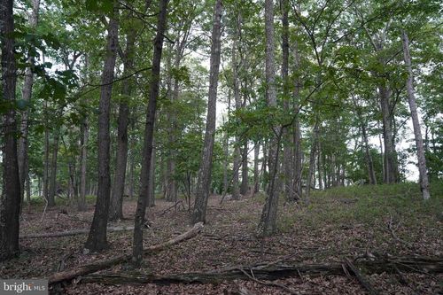 Lot 7 Justin Rd, GREAT CACAPON, WV, 25422 | Card Image