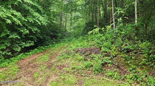 4473 Chavis Rd, COSBY, TN, 37722-2712 | Card Image