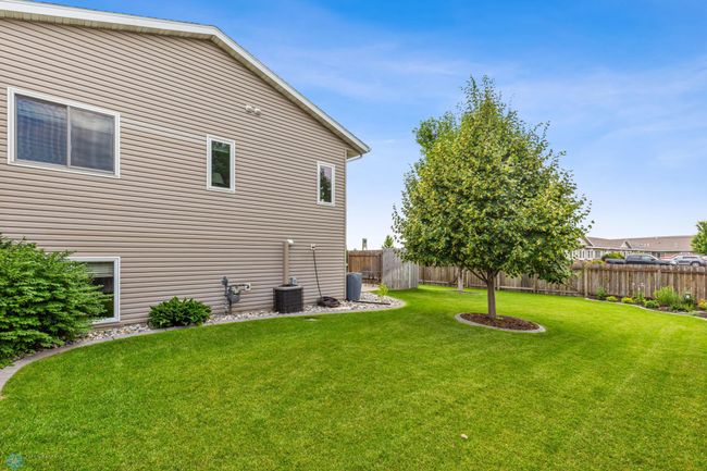 Back Yard | Image 40