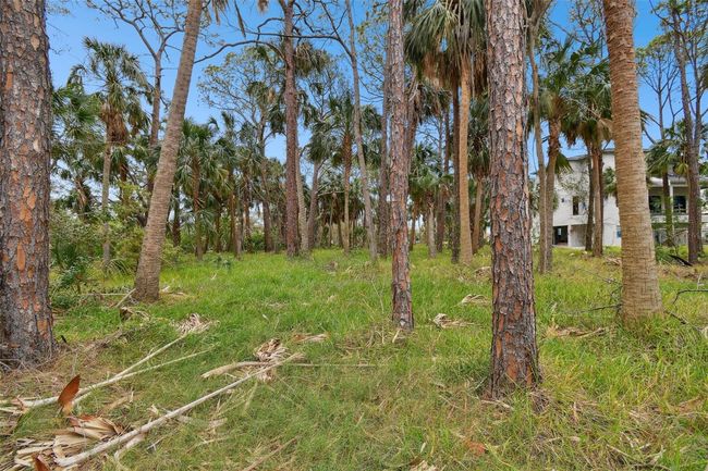 00 Phoenix Ave, Home with 0 bedrooms, 0 bathrooms and null parking in OLDSMAR FL | Image 29