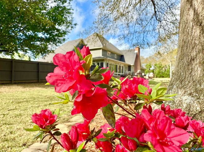 2108 Chapel Hill Rd Sw, House other with 4 bedrooms, 3 bathrooms and null parking in Decatur AL | Image 6