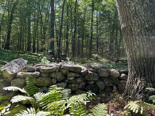 0 Nichewaug Rd, Petersham, MA, 01366 | Card Image