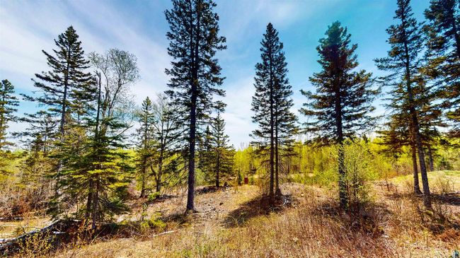 172 Boulder Point Ln, House other with 2 bedrooms, 1 bathrooms and null parking in Lutsen MN | Image 22