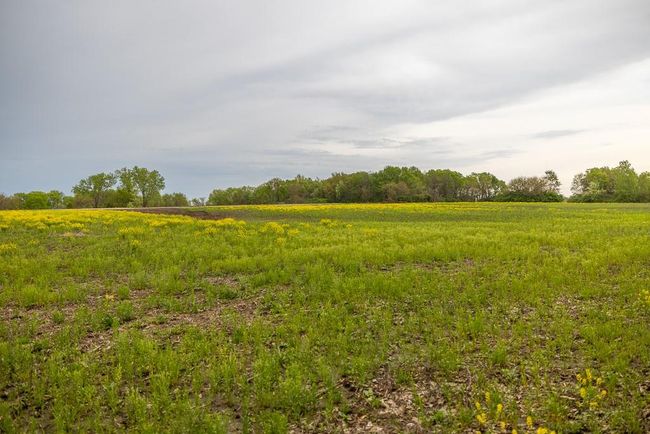 Lot 12 Nora Dodge Dr, Home with 0 bedrooms, 0 bathrooms and null parking in Peculiar MO | Image 19