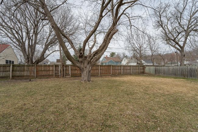 Large yard | Image 32
