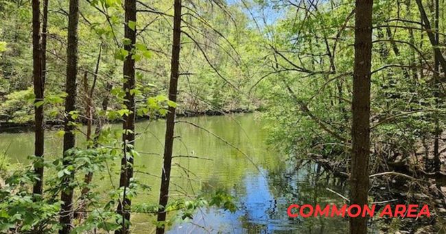 4042 Cabin Land Dr, Home with 3 bedrooms, 3 bathrooms and null parking in Radford VA | Image 38