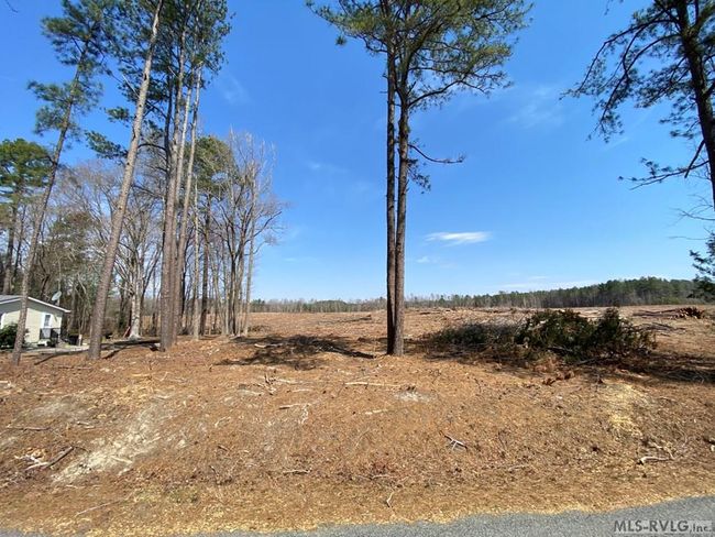 32.49 Ac Chalk Level Rd, Home with 0 bedrooms, 0 bathrooms and null parking in Alberta VA | Image 5