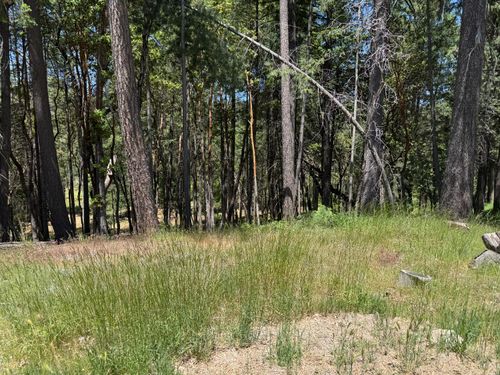 20955 Todd Valley Rd, Foresthill, CA, 95631-9651 | Card Image