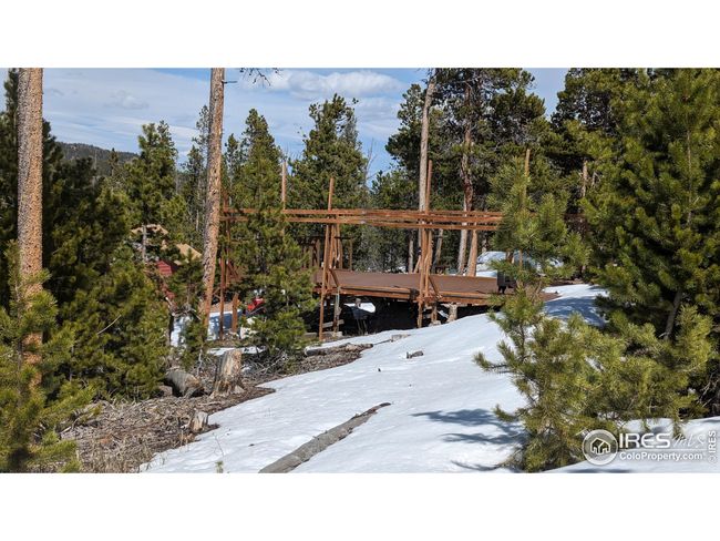 1836 Shoshoni Dr, Home with 0 bedrooms, 0 bathrooms and null parking in Red Feather Lakes CO | Image 21
