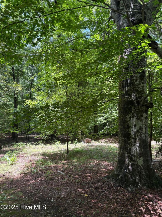 108 Gambit Ct, House other with 4 bedrooms, 3 bathrooms and 2 parking in Washington NC | Image 5