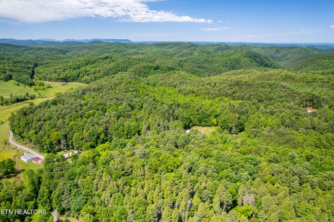 000 Cane Creek Mountain Rd, Home with 0 bedrooms, 0 bathrooms and null parking in Tellico Plains TN | Image 15