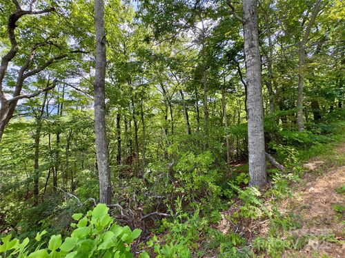 t44-94 Galax Dr, Black Mountain, NC, 28711-8905 | Card Image